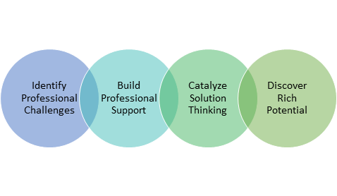  identify professional challenges, build professional support, catalyze solution thinking, discover rich potential