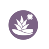 purple icon with agave plant and sun